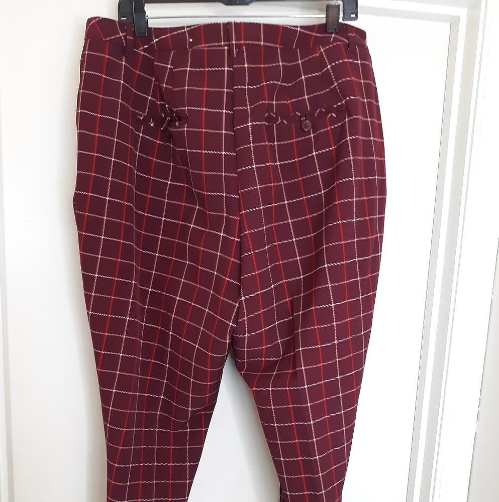 Cato's pants - Picture 5 of 6